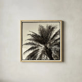 Palm Tree Sepia I by Debra Van Swearingen. Shown in a natural wood glass frame for a timeless modern aesthetic. Available as an archival giclee rolled canvas, fine art paper, or poster print. SKU 42499a.
