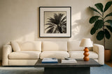 Palm Tree Sepia I by Debra Van Swearingen. Displayed in a glass frame with matte in a clean modern living room. Available as an archival giclee rolled canvas, fine art paper, or poster print. SKU 42499a.