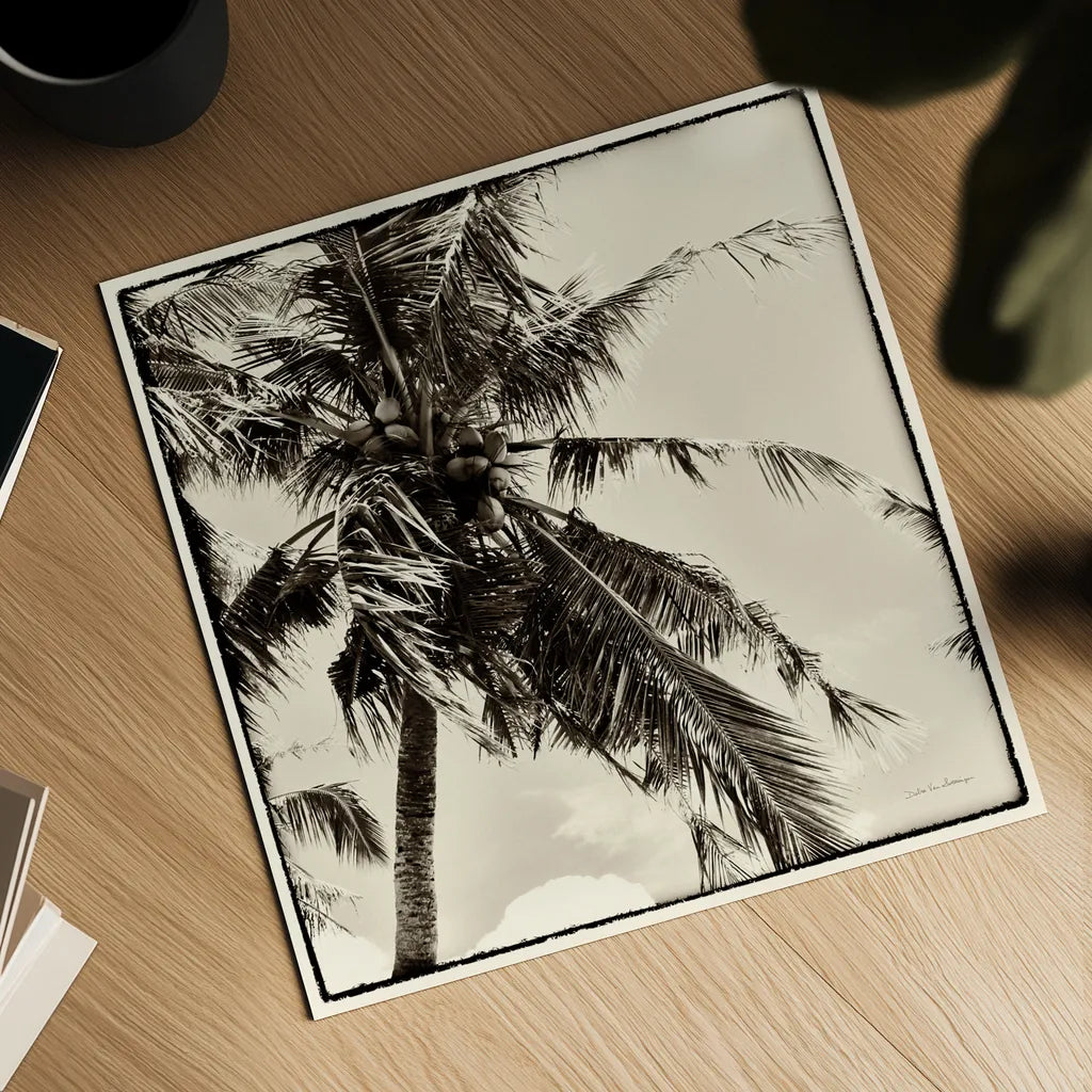 Palm Tree Sepia II by Debra Van Swearingen. Shown as a detailed flat fine art print, highlighting archival giclee quality. Available as an archival giclee rolled canvas, fine art paper, or poster print. SKU 42500a.