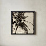 Palm Tree Sepia II by Debra Van Swearingen. Shown in a sleek black glass frame for a contemporary gallery look. Available as an archival giclee rolled canvas, fine art paper, or poster print. SKU 42500a.