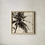 Palm Tree Sepia II by Debra Van Swearingen. Shown in a natural wood glass frame for a timeless modern aesthetic. Available as an archival giclee rolled canvas, fine art paper, or poster print. SKU 42500a.