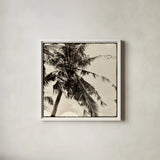Palm Tree Sepia II by Debra Van Swearingen. Shown in a crisp white glass frame for a clean and minimalist style. Available as an archival giclee rolled canvas, fine art paper, or poster print. SKU 42500a.