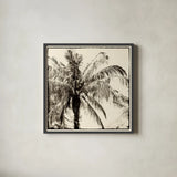 Palm Tree Sepia III by Debra Van Swearingen. Shown in a sleek black glass frame for a contemporary gallery look. Available as an archival giclee rolled canvas, fine art paper, or poster print. SKU 42501a.