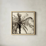 Palm Tree Sepia III by Debra Van Swearingen. Shown in a natural wood glass frame for a timeless modern aesthetic. Available as an archival giclee rolled canvas, fine art paper, or poster print. SKU 42501a.