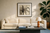 Palm Tree Sepia III by Debra Van Swearingen. Displayed in a glass frame with matte in a clean modern living room. Available as an archival giclee rolled canvas, fine art paper, or poster print. SKU 42501a.