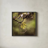 Passion Flower Vine I by Debra Van Swearingen. Shown in a sleek black glass frame for a contemporary gallery look. Available as an archival giclee rolled canvas, fine art paper, or poster print. SKU 63809a.
