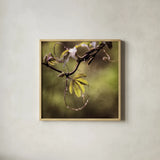 Passion Flower Vine I by Debra Van Swearingen. Shown in a natural wood glass frame for a timeless modern aesthetic. Available as an archival giclee rolled canvas, fine art paper, or poster print. SKU 63809a.