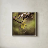 Passion Flower Vine I by Debra Van Swearingen. Shown in a crisp white glass frame for a clean and minimalist style. Available as an archival giclee rolled canvas, fine art paper, or poster print. SKU 63809a.
