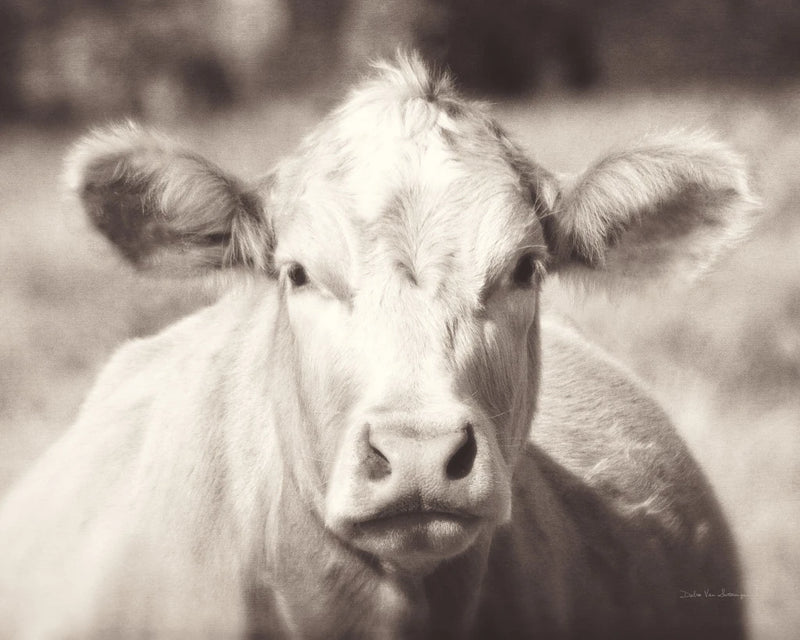 Pasture Cow Neutral by Debra Van Swearingen