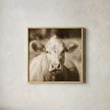 Pasture Cow Sepia Sq by Debra Van Swearingen. Shown in a natural wood glass frame for a timeless modern aesthetic. Available as an archival giclee rolled canvas, fine art paper, or poster print. SKU 79220a.