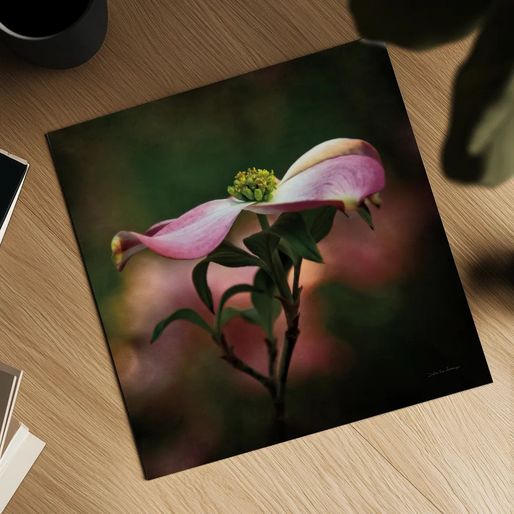 Pink Dogwood I by Debra Van Swearingen. Shown as a detailed flat fine art print, highlighting archival giclee quality. Available as an archival giclee rolled canvas, fine art paper, or poster print. SKU 63779a.