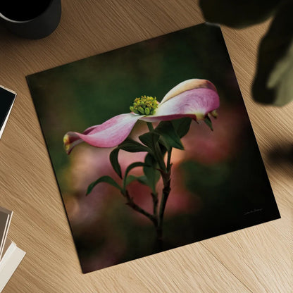 Pink Dogwood I by Debra Van Swearingen. Shown as a detailed flat fine art print, highlighting archival giclee quality. Available as an archival giclee rolled canvas, fine art paper, or poster print. SKU 63779a.