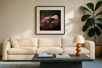 Pink Dogwood I by Debra Van Swearingen. Displayed in a glass frame with matte in a clean modern living room. Available as an archival giclee rolled canvas, fine art paper, or poster print. SKU 63779a.
