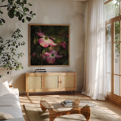 Pink Dogwood II by Debra Van Swearingen. Shown in a natural wood frame in a cozy modern living room. Available as an archival giclee rolled canvas, fine art paper, or poster print. SKU 63780a.