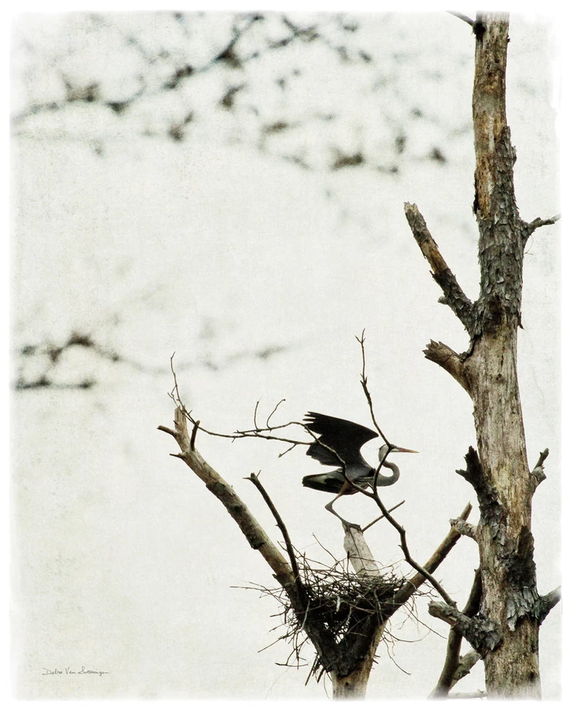 Poised by Debra Van Swearingen