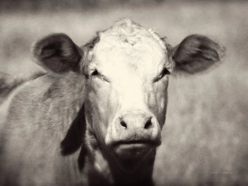 Pretty Girl by Debra Van Swearingen