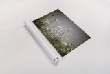 Queen Annes Lace Field I by Debra Van Swearingen. shown as a rolled paper print. Available as archival giclee rolled canvas, fine art paper, or poster print. SKU 86787i.