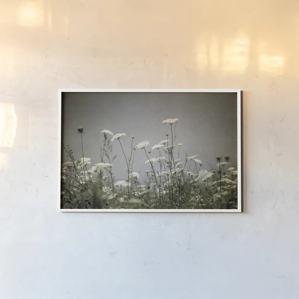 Queen Annes Lace Field I by Debra Van Swearingen. shown as a paper print in a white frame. Available as a archival giclee rolled canvas, fine art paper, or poster print. SKU 86787i.