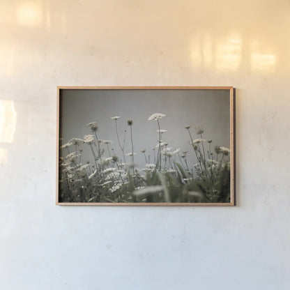 Queen Annes Lace Field II by Debra Van Swearingen. shown as a paper print in a natural frame. Available as a archival giclee rolled canvas, fine art paper, or poster print. SKU 86788i.