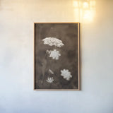 Queen Annes Lace I by Debra Van Swearingen. shown as a paper print in a natural frame. Available as a archival giclee rolled canvas, fine art paper, or poster print. SKU 86785h.