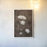 Queen Annes Lace I by Debra Van Swearingen. shown as a paper print in a white frame. Available as a archival giclee rolled canvas, fine art paper, or poster print. SKU 86785h.