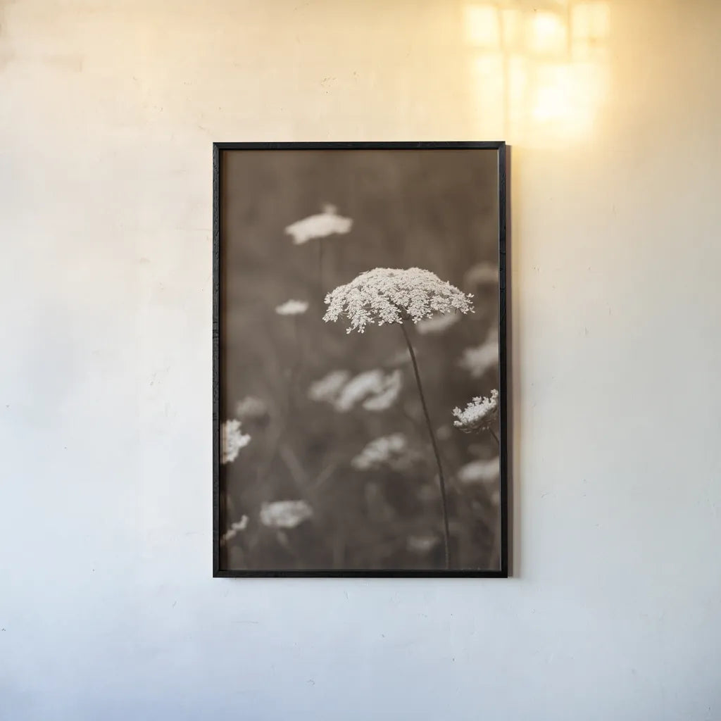 Queen Annes Lace II by Debra Van Swearingen. shown as a paper print in a black flame. Available as a archival giclee rolled canvas, fine art paper, or poster print. SKU 86786h.