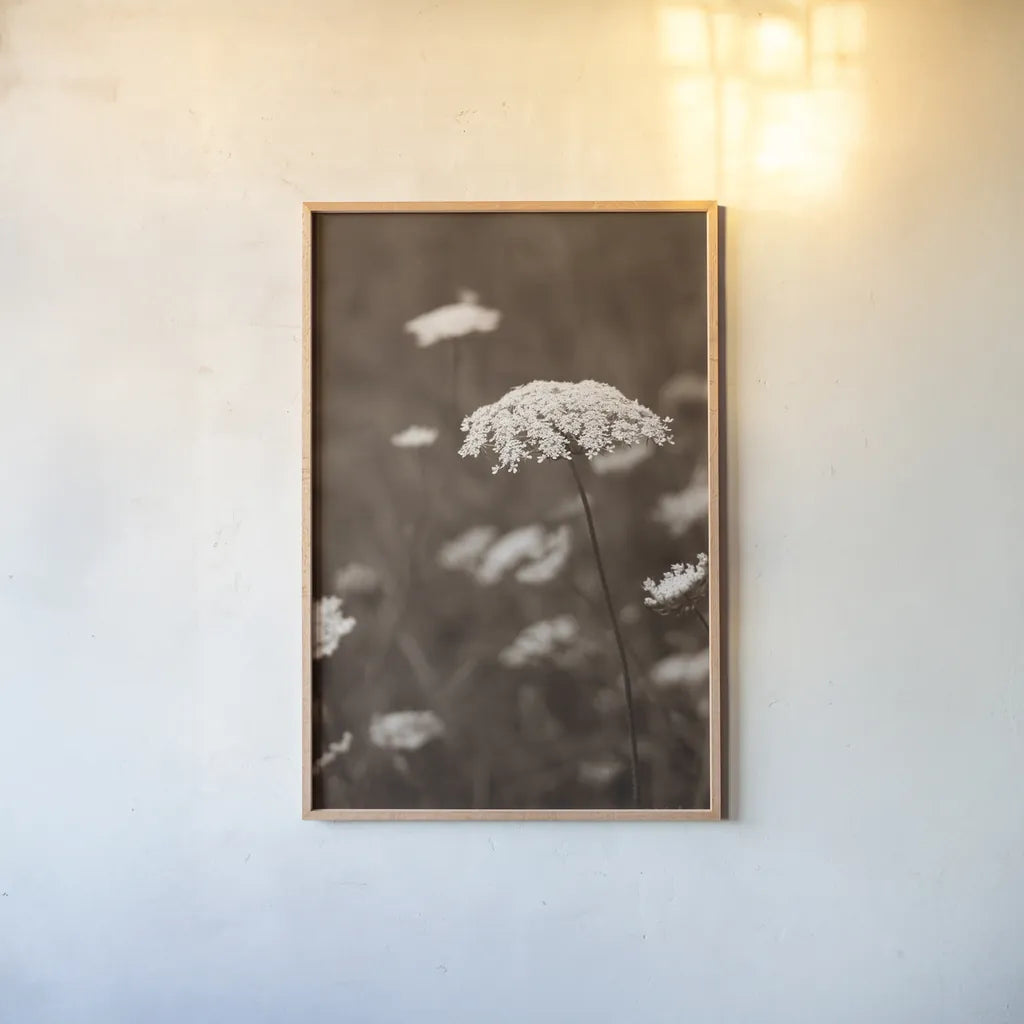 Queen Annes Lace II by Debra Van Swearingen. shown as a paper print in a natural frame. Available as a archival giclee rolled canvas, fine art paper, or poster print. SKU 86786h.