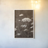 Queen Annes Lace II by Debra Van Swearingen. shown as a paper print in a white frame. Available as a archival giclee rolled canvas, fine art paper, or poster print. SKU 86786h.