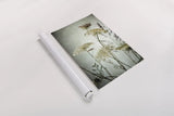 Queen Annes Lace Up Close I by Debra Van Swearingen. shown as a rolled paper print. Available as archival giclee rolled canvas, fine art paper, or poster print. SKU 90959h.