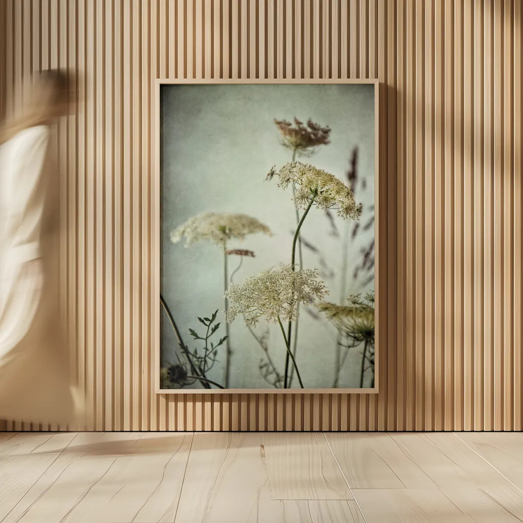 Queen Annes Lace Up Close I by Debra Van Swearingen. shown as over sized large wall art. Available as an archival giclee rolled canvas, fine art paper, or poster print. SKU 90959h.
