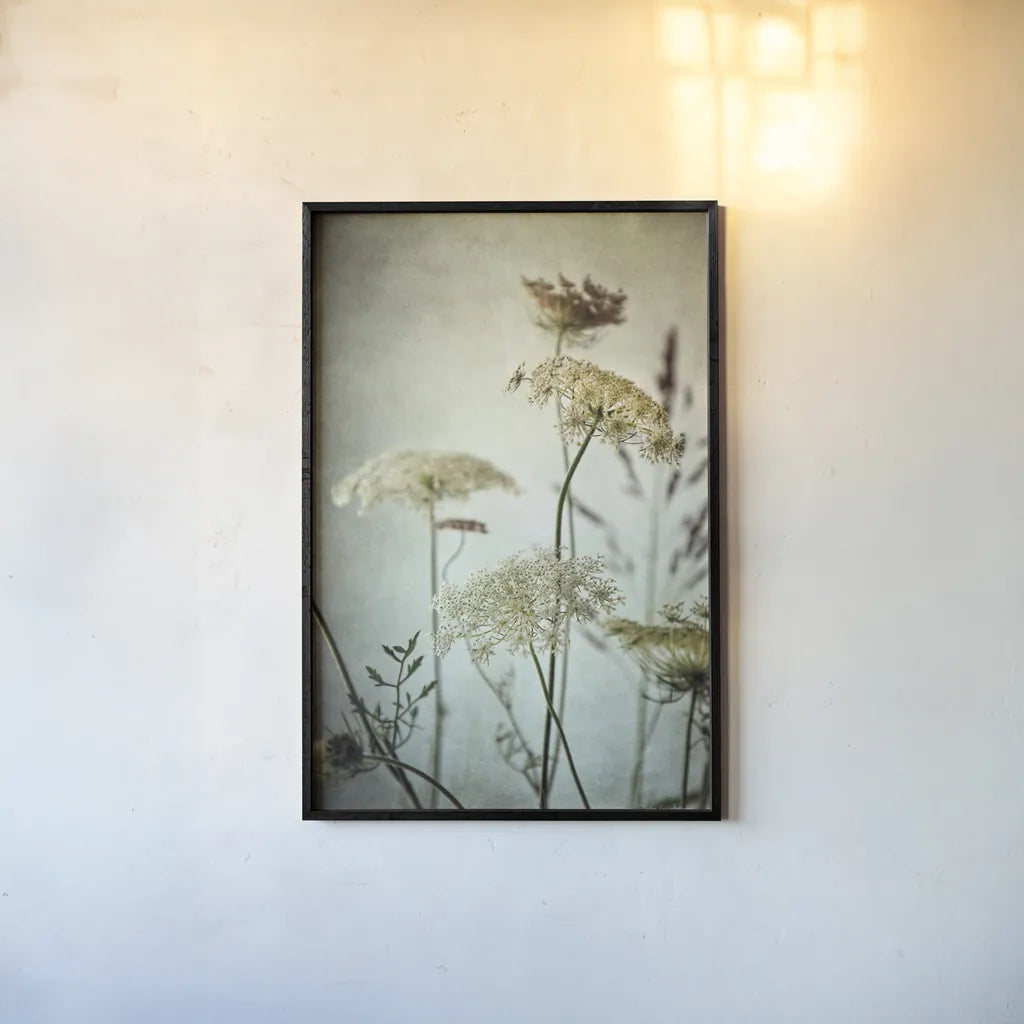 Queen Annes Lace Up Close I by Debra Van Swearingen. shown as a paper print in a black flame. Available as a archival giclee rolled canvas, fine art paper, or poster print. SKU 90959h.