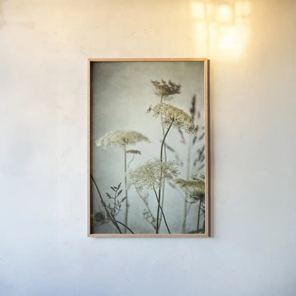 Queen Annes Lace Up Close I by Debra Van Swearingen. shown as a paper print in a natural frame. Available as a archival giclee rolled canvas, fine art paper, or poster print. SKU 90959h.