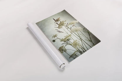 Queen Annes Lace Up Close II by Debra Van Swearingen. shown as a rolled paper print. Available as archival giclee rolled canvas, fine art paper, or poster print. SKU 90960h.