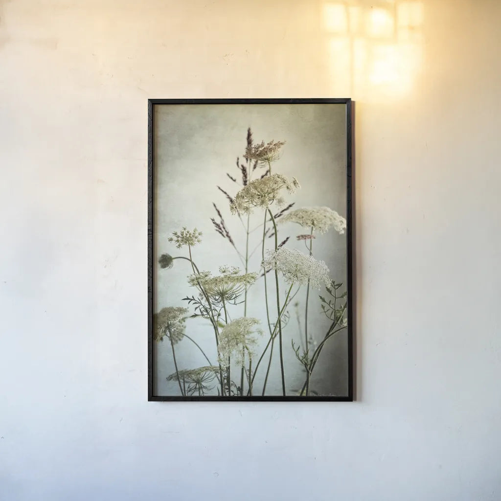 Queen Annes Lace Up Close II by Debra Van Swearingen. shown as a paper print in a black flame. Available as a archival giclee rolled canvas, fine art paper, or poster print. SKU 90960h.