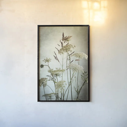Queen Annes Lace Up Close II by Debra Van Swearingen. shown as a paper print in a black flame. Available as a archival giclee rolled canvas, fine art paper, or poster print. SKU 90960h.