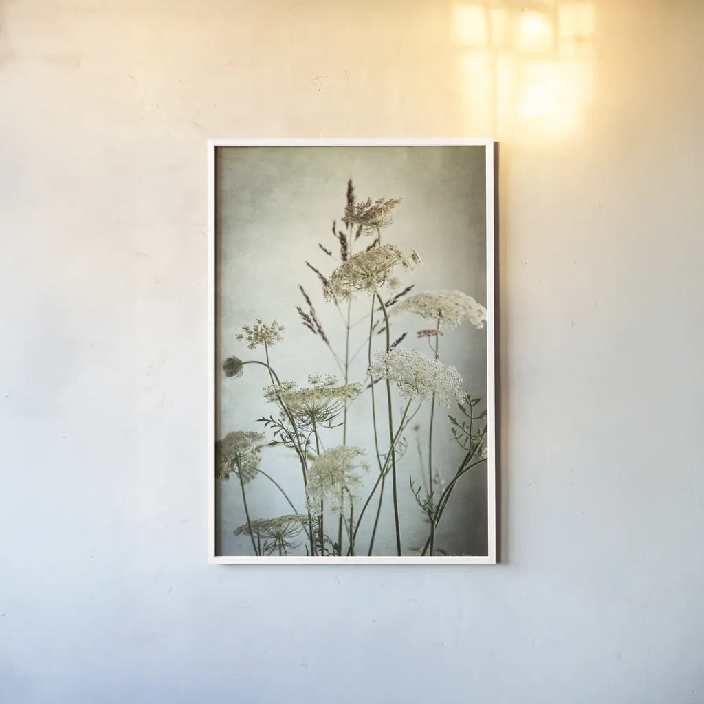 Queen Annes Lace Up Close II by Debra Van Swearingen. shown as a paper print in a white frame. Available as a archival giclee rolled canvas, fine art paper, or poster print. SKU 90960h.