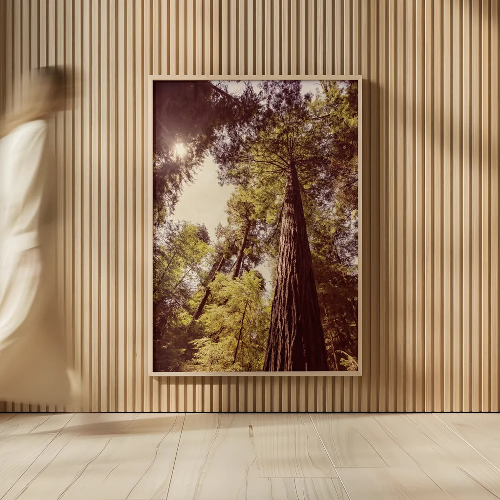 Redwoods I by Debra Van Swearingen. shown as over sized large wall art. Available as an archival giclee rolled canvas, fine art paper, or poster print. SKU 82779h.