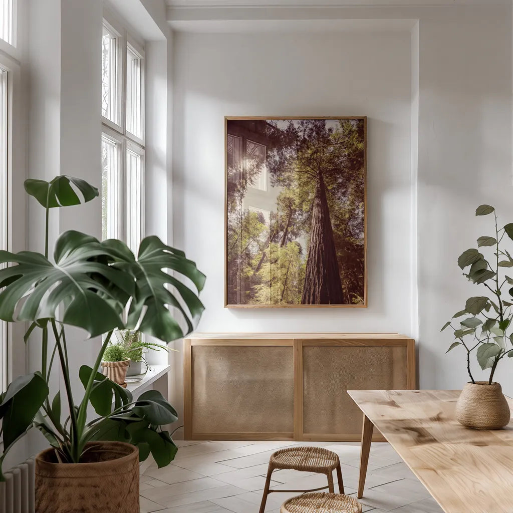 Redwoods I by Debra Van Swearingen. shown as a print in a natural wood frame in a dining room. Available as a archival giclee rolled canvas, fine art paper, or poster print. SKU 82779h.