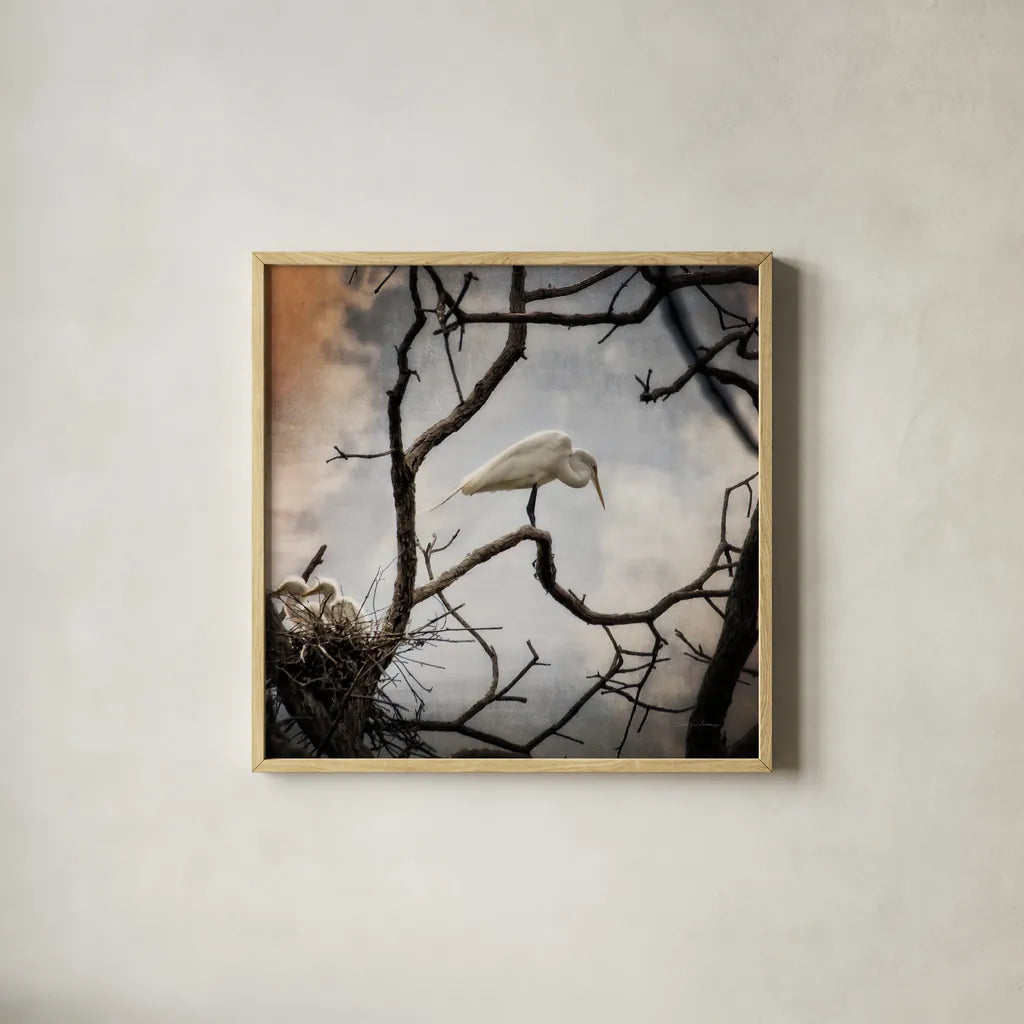 Respite by Debra Van Swearingen. Shown in a natural wood glass frame for a timeless modern aesthetic. Available as an archival giclee rolled canvas, fine art paper, or poster print. SKU 63823a.