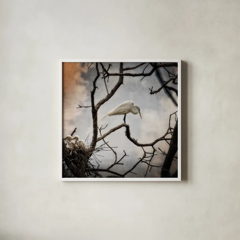 Respite by Debra Van Swearingen. Shown in a crisp white glass frame for a clean and minimalist style. Available as an archival giclee rolled canvas, fine art paper, or poster print. SKU 63823a.