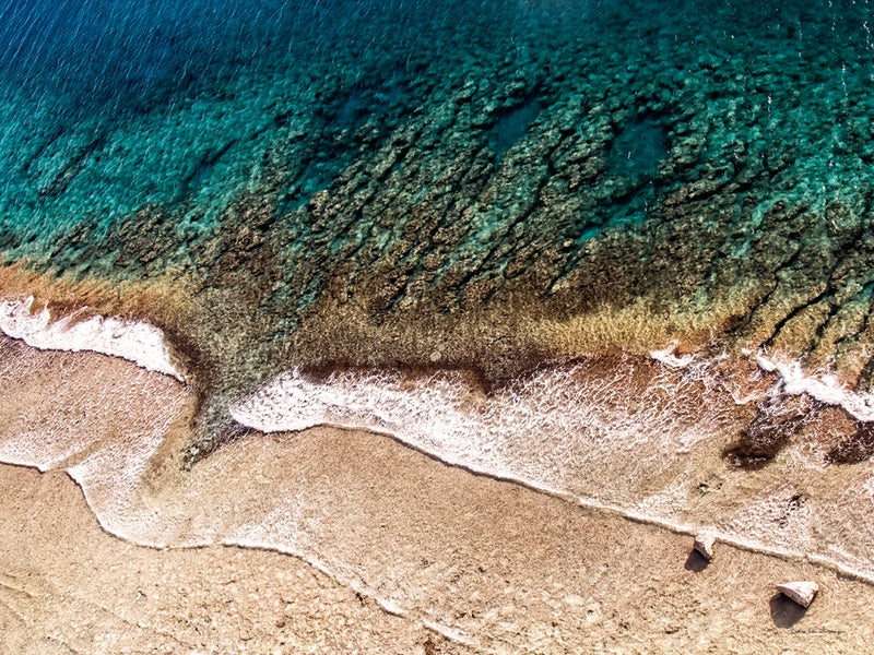 Sand and Sea Crop by Debra Van Swearingen