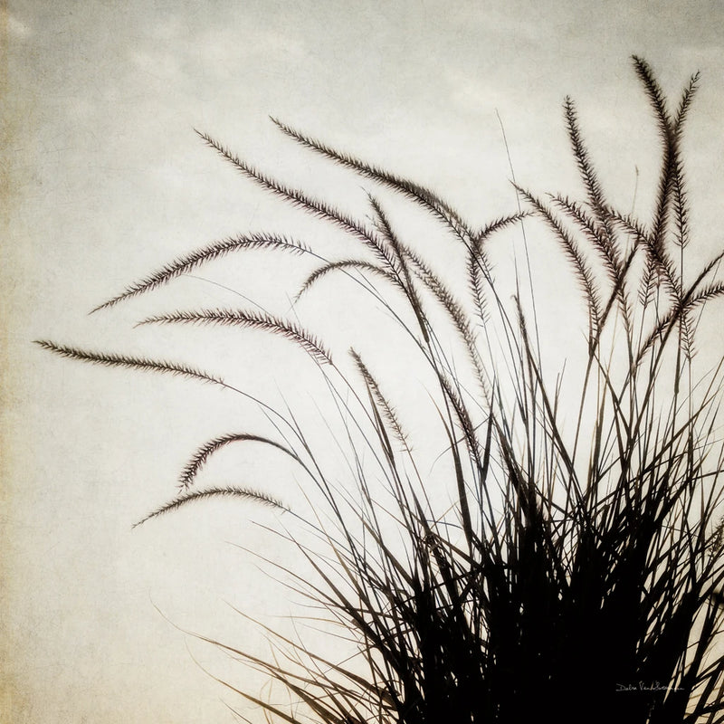Simple Grasses I by Debra Van Swearingen