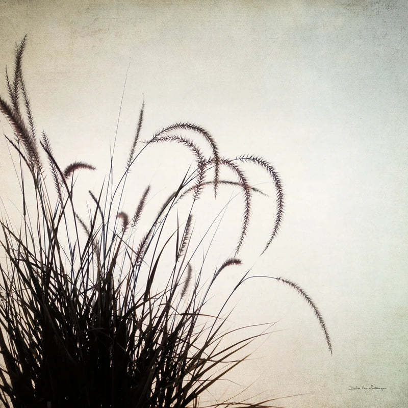 Simple Grasses II by Debra Van Swearingen