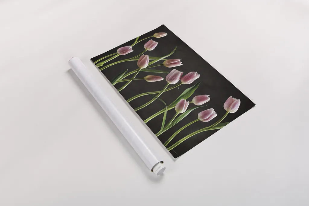 Spring Tulips IX by Debra Van Swearingen. shown as a rolled paper print. Available as archival giclee rolled canvas, fine art paper, or poster print. SKU 23299i.