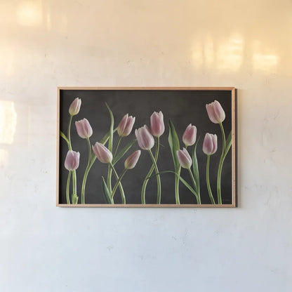 Spring Tulips IX by Debra Van Swearingen. shown as a paper print in a natural frame. Available as a archival giclee rolled canvas, fine art paper, or poster print. SKU 23299i.