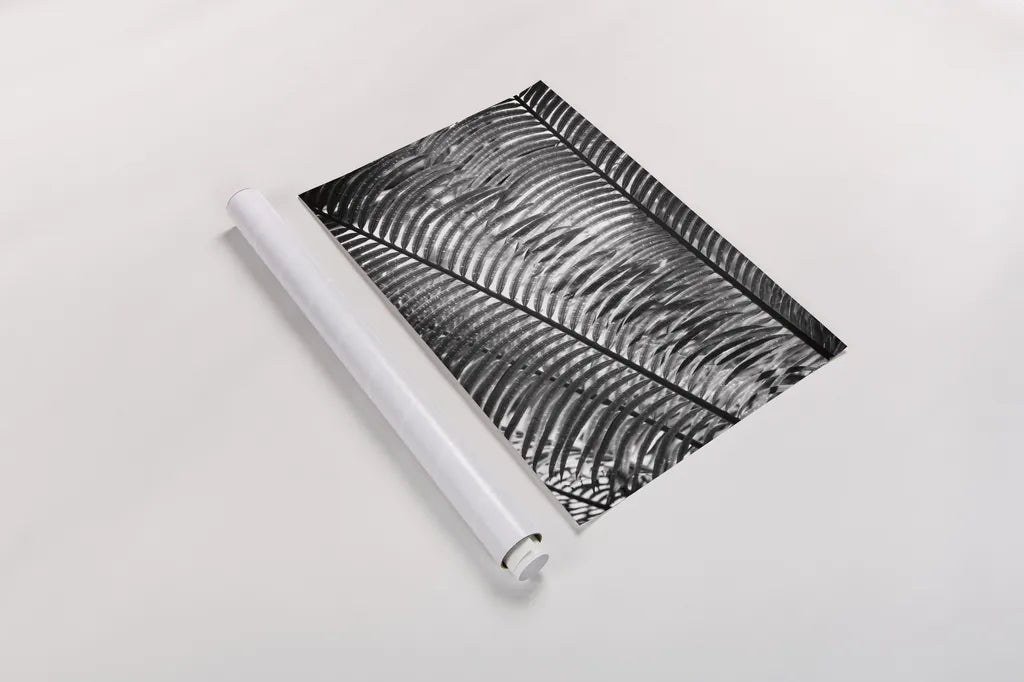 Sunlit Palms I by Debra Van Swearingen. shown as a rolled paper print. Available as archival giclee rolled canvas, fine art paper, or poster print. SKU 81257h.