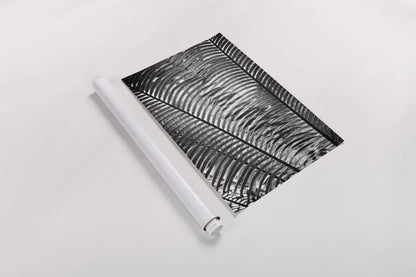 Sunlit Palms I by Debra Van Swearingen. shown as a rolled paper print. Available as archival giclee rolled canvas, fine art paper, or poster print. SKU 81257h.