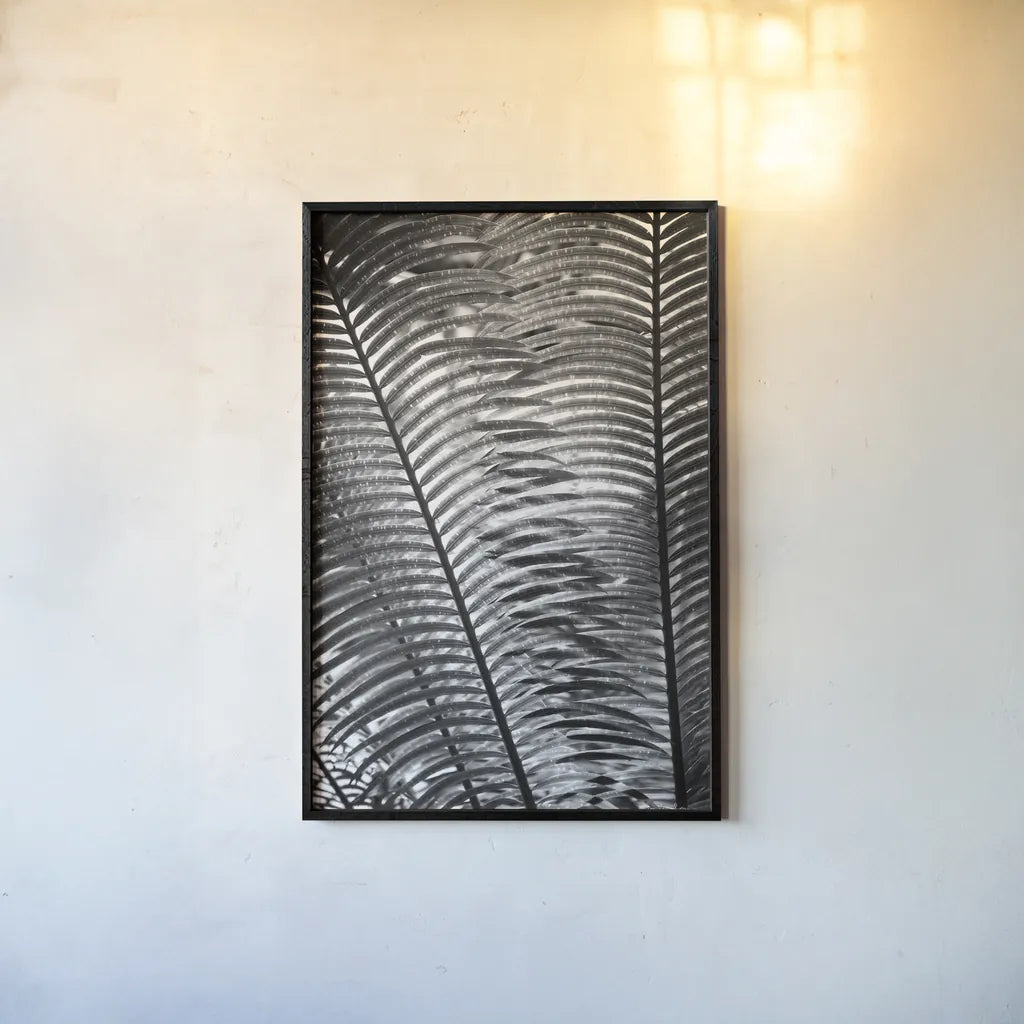 Sunlit Palms I by Debra Van Swearingen. shown as a paper print in a black flame. Available as a archival giclee rolled canvas, fine art paper, or poster print. SKU 81257h.