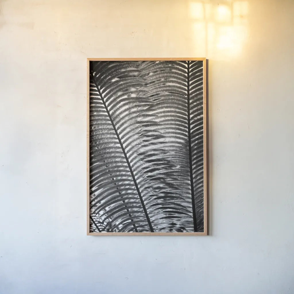 Sunlit Palms I by Debra Van Swearingen. shown as a paper print in a natural frame. Available as a archival giclee rolled canvas, fine art paper, or poster print. SKU 81257h.