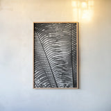 Sunlit Palms I by Debra Van Swearingen. shown as a paper print in a natural frame. Available as a archival giclee rolled canvas, fine art paper, or poster print. SKU 81257h.